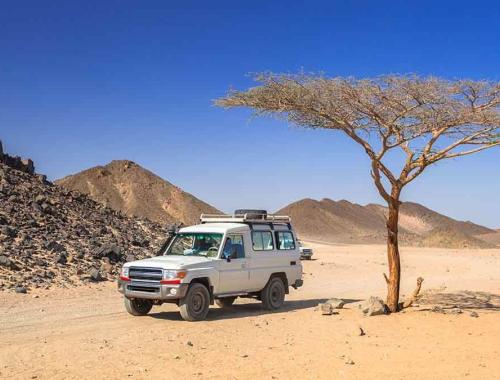 Фэмили сафари в Хургаде 5 часов (дневная программа)