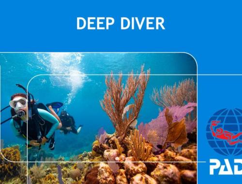 Deep Diver Specialty Course