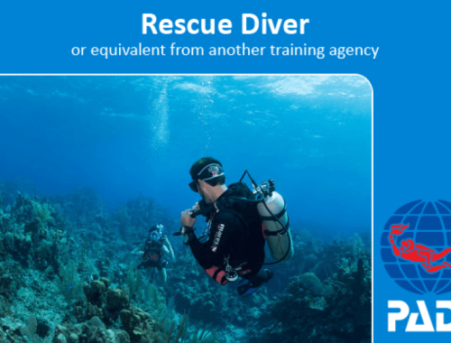 Rescue Diver diving course