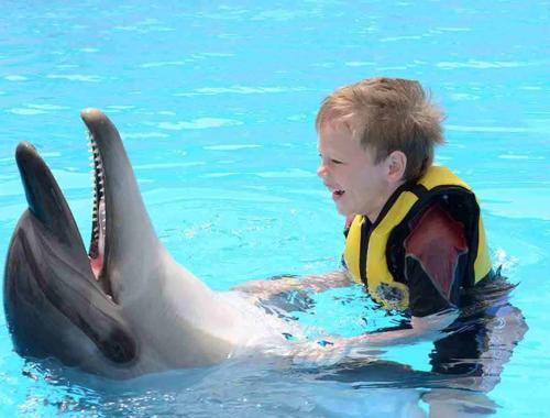 Плавание с дельфинами в Хургаде