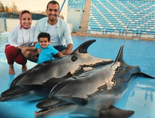 Фотосессия с дельфинами в Хургаде