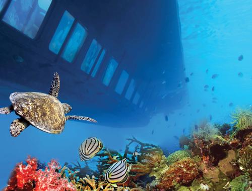 Экскурсия на полуподводной лодке Катамаран в Хургаде