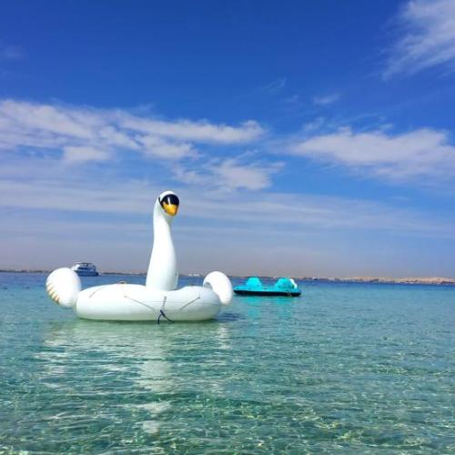 Остров Магавиш в Хургаде