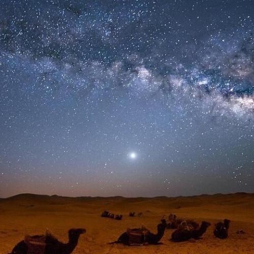 Desert Stargazing Safari