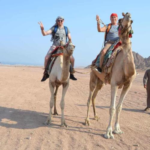 Фэмили сафари в Хургаде 5 часов (дневная программа)