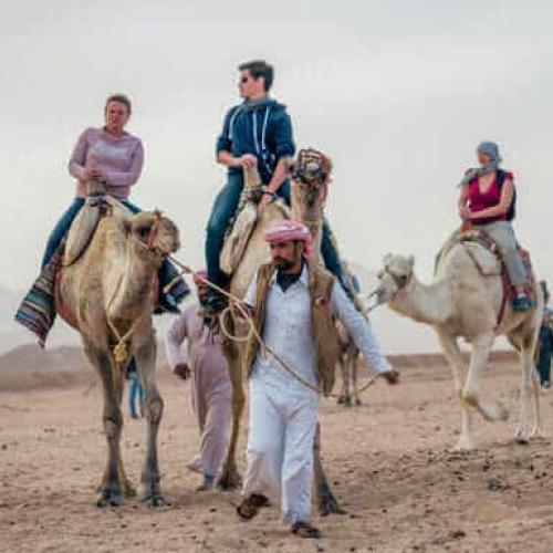 Фэмили сафари в Хургаде 5 часов (дневная программа)