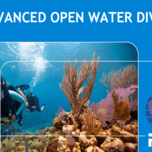  Advanced Open Water Diver