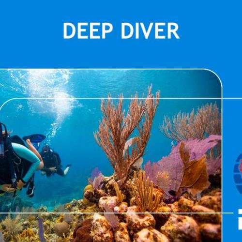 Deep Diver Specialty Course