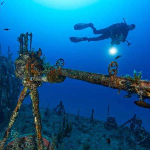 Deep Diver Specialty Course