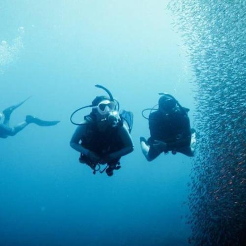 Deep Diver Specialty Course