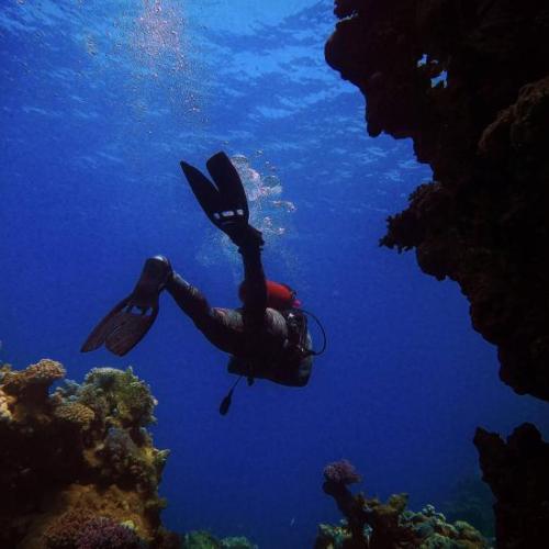 Deep Diver Specialty Course