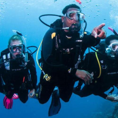 Dive Master diving course