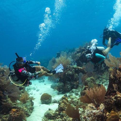 Dive Master diving course