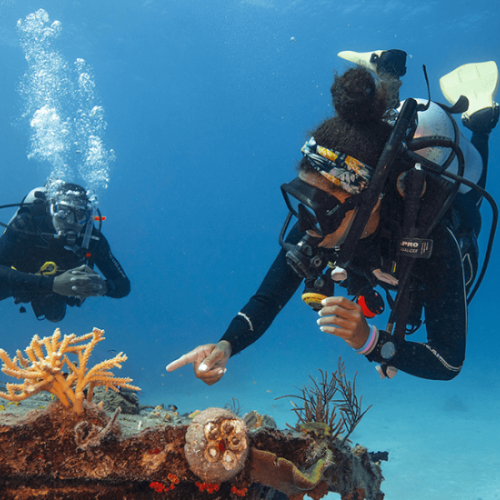 Dive Master diving course