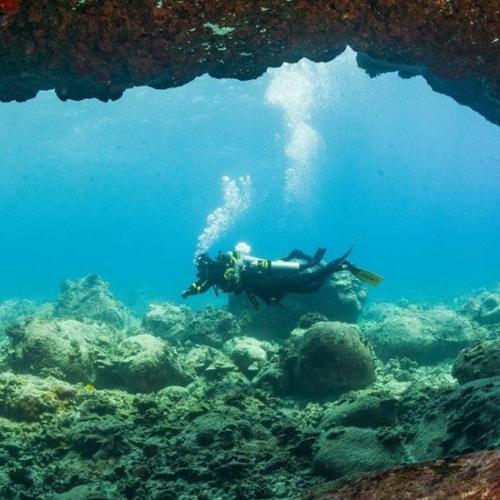 Nitrox Specialty Diving