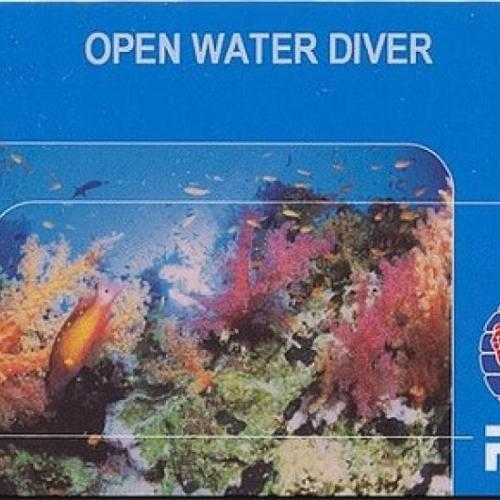 Open Water Diver