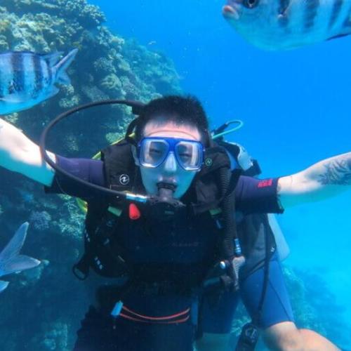 Интро Дайвинг в Хургаде