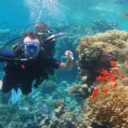 Discovery Scuba Diving