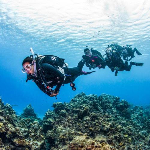 Hurghada Daily Diving