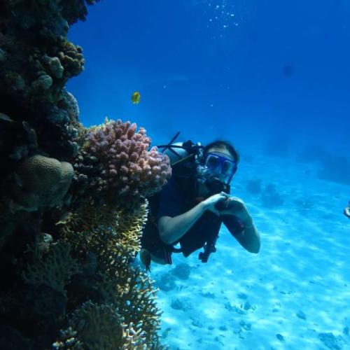 Discovery Scuba Diving