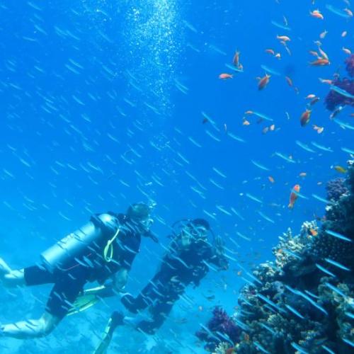 Discovery Scuba Diving