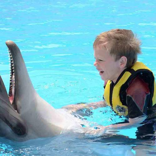 Плавание с дельфинами в Хургаде