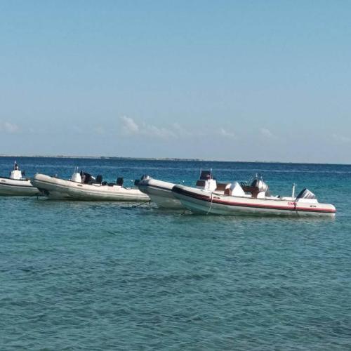 Private Speed Boat hurghada